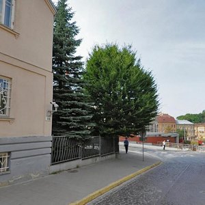 Vulytsia Ivana Franka, 108, Lviv: photo