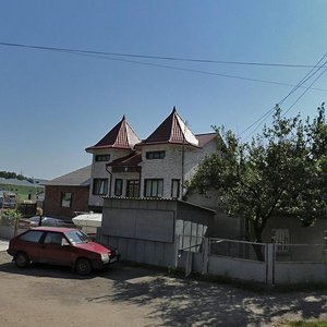 Vulytsia Sichovykh Striltsiv, 34 ، : صورة