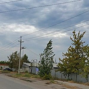 Larina Street, 146А ، تولياتي: صورة