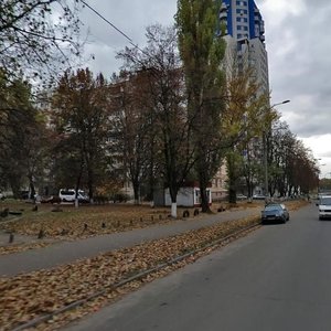 Zhmerynska Street, 16, Kyiv: photo