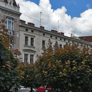 Prospekt Tarasa Shevchenka, 8, Lviv: photo