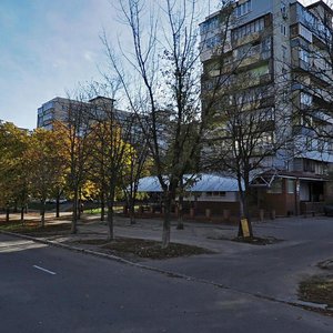 Akademika Kurchatova Street, 22, Kyiv: photo