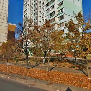 Raiduzhna Street, 35, Kyiv: photo