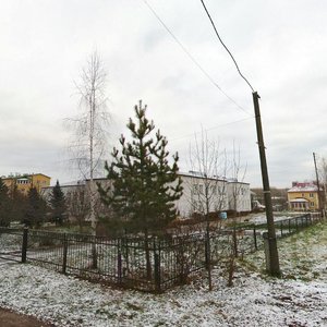 Tsentralnaya ulitsa, уч6, Nizhny Novgorod Oblast': photo