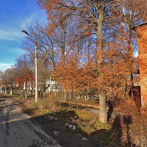 Ulitsa Maksa Smirnova, 111, Tula: photo