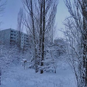 Serzhanta Lazarieva Street, 3, Pripyat: photo