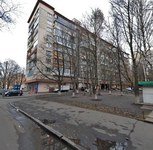Mykhaila Omelianovycha-Pavlenka Street, 19, Kyiv: photo