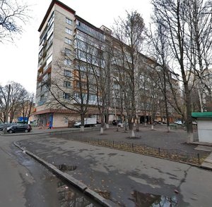 Mykhaila Omelianovycha-Pavlenka Street, 19, : foto
