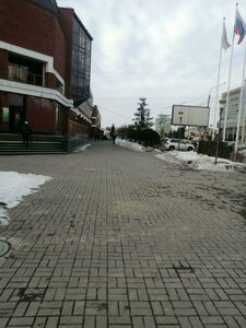 Marshala Zhukova Street, 4/1, Omsk: photo