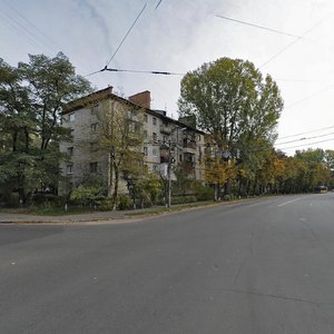 Ryzka Street, 8, Kyiv: photo