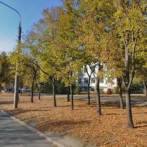 Vulytsia Yentuziastiv, No:14, Zaporoje: Fotoğraflar