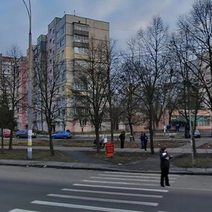 Heorhiia Honhadze Avenue, 24, Kyiv: photo