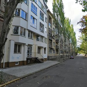 Naberezhna vulytsia, 7, Mykolaiv: photo