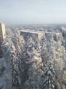 Karelskaya ulitsa, 4, Kostomucsha: photo