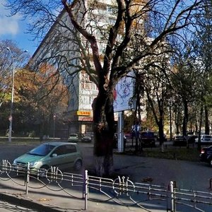 Киев, Улица Михаила Омельяновича-Павленко, 19: фото