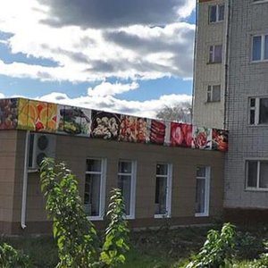 Mashkovtseva Street, 29А, Belgorod: photo