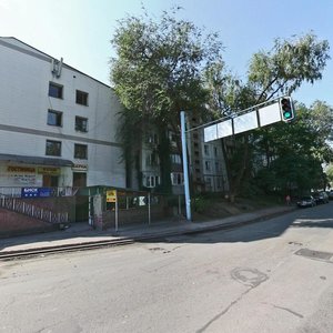 Baitursynov Street, 1А, Almaty: photo