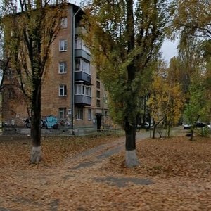 Simi Sosninykh Street, 10, Kyiv: photo