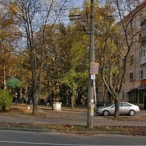 Lysohirska Street, 4, Kyiv: photo