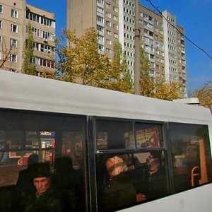 Mykoly Zakrevskoho Street, 39, Kyiv: photo