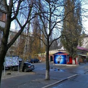 Mykoly Vasylenka Street, 6, Kyiv: photo