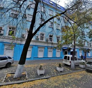 Borysohlibska Street, 11, Kyiv: photo