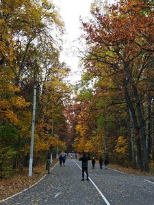 Moskovskiy Avenue, 150, Voronezh: photo