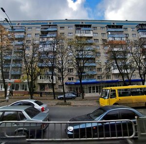 Chokolivskyi Boulevard, 11, Kyiv: photo