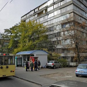 Oleha Olzhycha Street, 18, Kyiv: photo