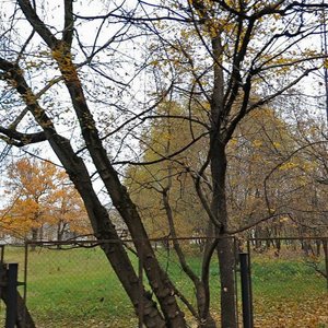 Bolshaya Tikhonovskaya Street, 5 ، موسكو: صورة
