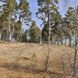 142-y mikrorayon, 60Б, Ulan‑Ude: photo