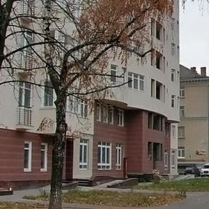 Maksyma Kryvonosa Street, 17, Kyiv: photo