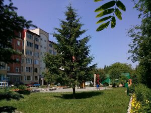 Tereshkovoy Street, 33, Novosibirsk: photo