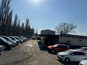 Воронеж, Улица Антонова-Овсеенко, 15И: фото