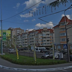 Vulytsia Bohdana Khmelnytskoho, 1Б, Kyiv Region: photo