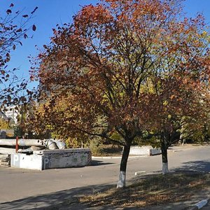 Berehovyi provulok, 3, Kherson: photo