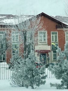 Ulitsa Lizy Chaykinoy, 3А, Omsk: photo