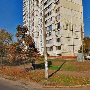 Raiduzhna Street, 33, Kyiv: photo