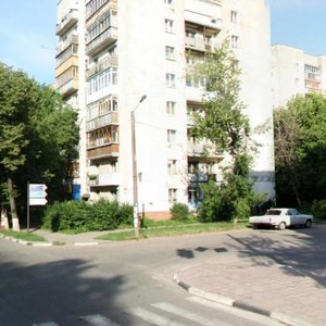 Belinskogo Street, 47, Nizhny Novgorod: photo