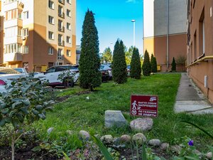 Shakhmatnaya Street, 2, Kaliningrad: photo