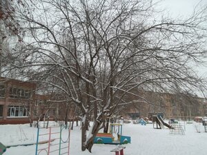 Mira Avenue, 169В, Omsk: photo