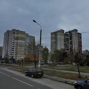 Akademika Yefremova Street, 23, Kyiv: photo