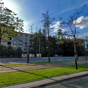 Moskovskiy Avenue, 151, Saint Petersburg: photo