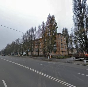 Vatslava Havela Boulevard, 93, Kyiv: photo