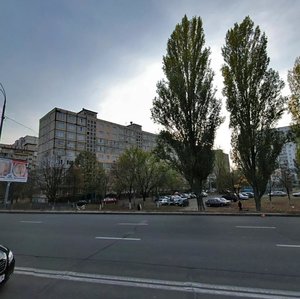 Heroiv Stalinhrada Avenue, 17, Kyiv: photo