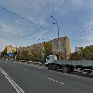 Heroiv Dnipra Street, 38, Kyiv: photo