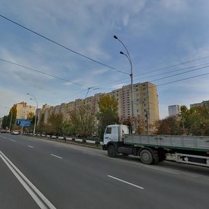 Heroiv Dnipra Street, 38, : foto