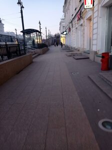Lenina Street, 7 ، أومسك: صورة