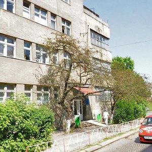 Vulytsia Volodymyra Hoshovskoho, 2, Uzhhorod: photo