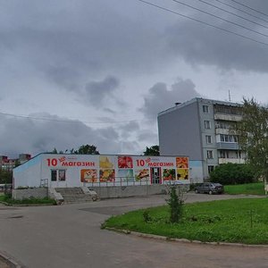 Alekseya Alyokhina Street, 1А, Pskov: photo